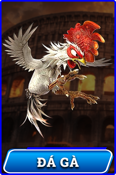 Sảnh cược đá gà Ko66