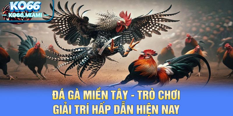 Đá Gà Miền Tây - Trò Chơi Giải Trí Hấp Dẫn Hiện Nay
