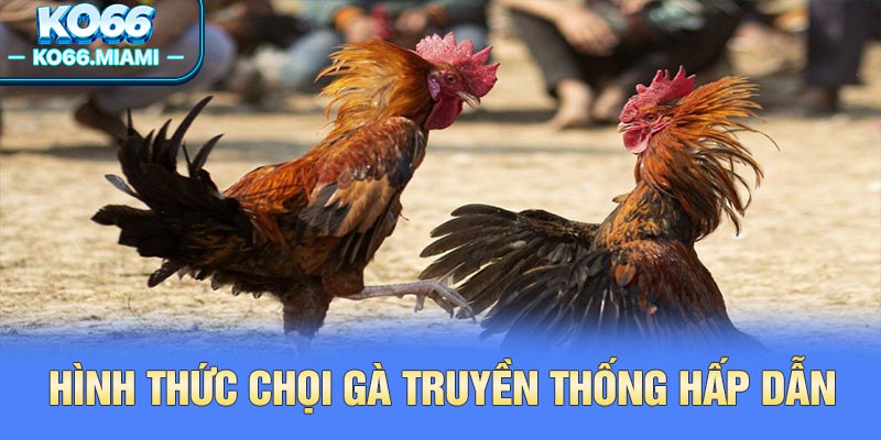 Hình thức chọi gà truyền thống hấp dẫn